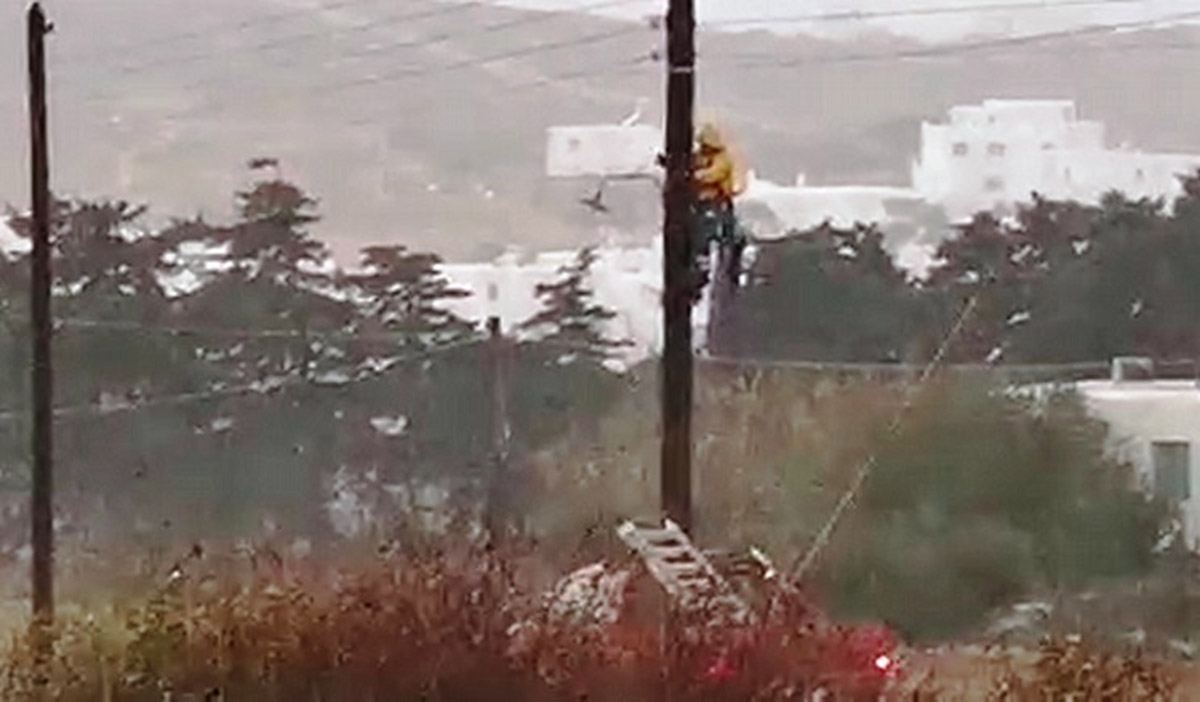 εναερίτες της ΔΕΗ