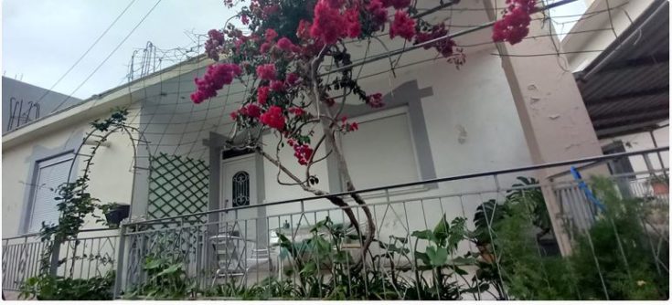 Ρόδος- δολοφονία