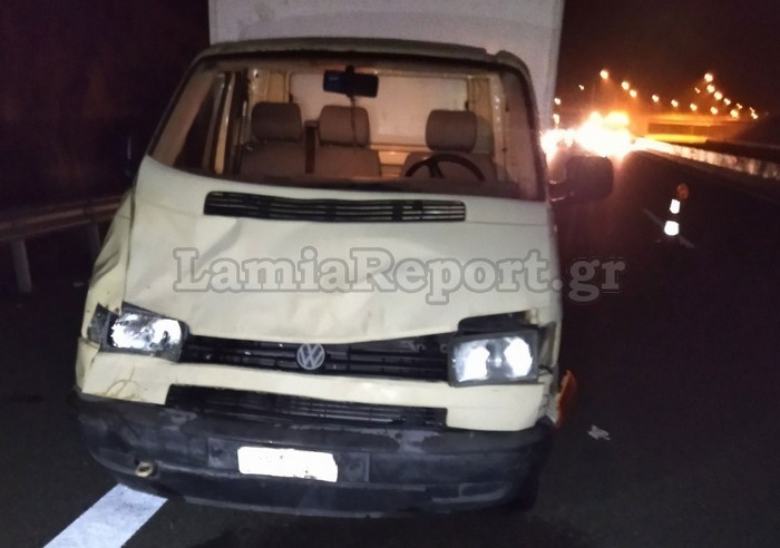 τροχαίο με αγελάδα