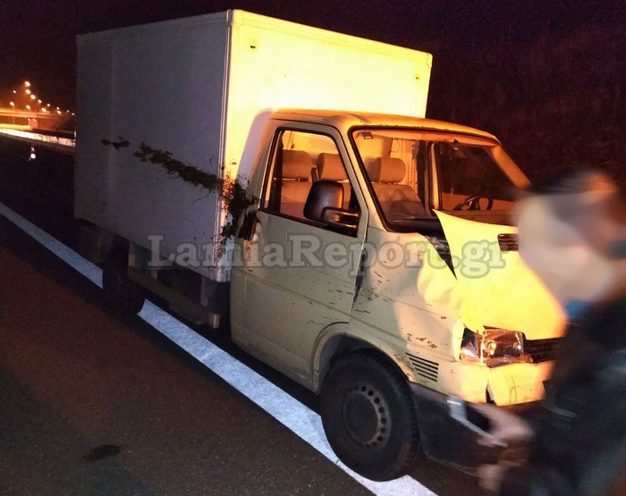 τροχαίο με αγελάδα