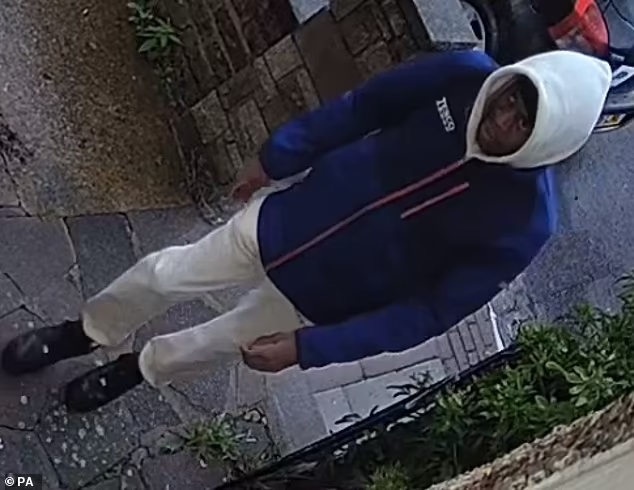 Βρετανία Μαχαίρι Δράστες