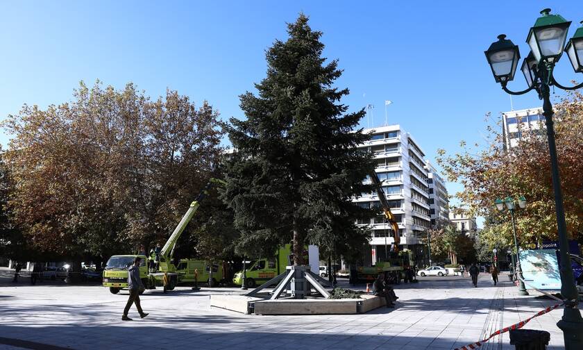 Δήμος Αθηναίων: Την Πέμπτη ανάβει το χριστουγεννιάτικο δέντρο στο Σύνταγμα – Όλες οι εκδηλώσεις