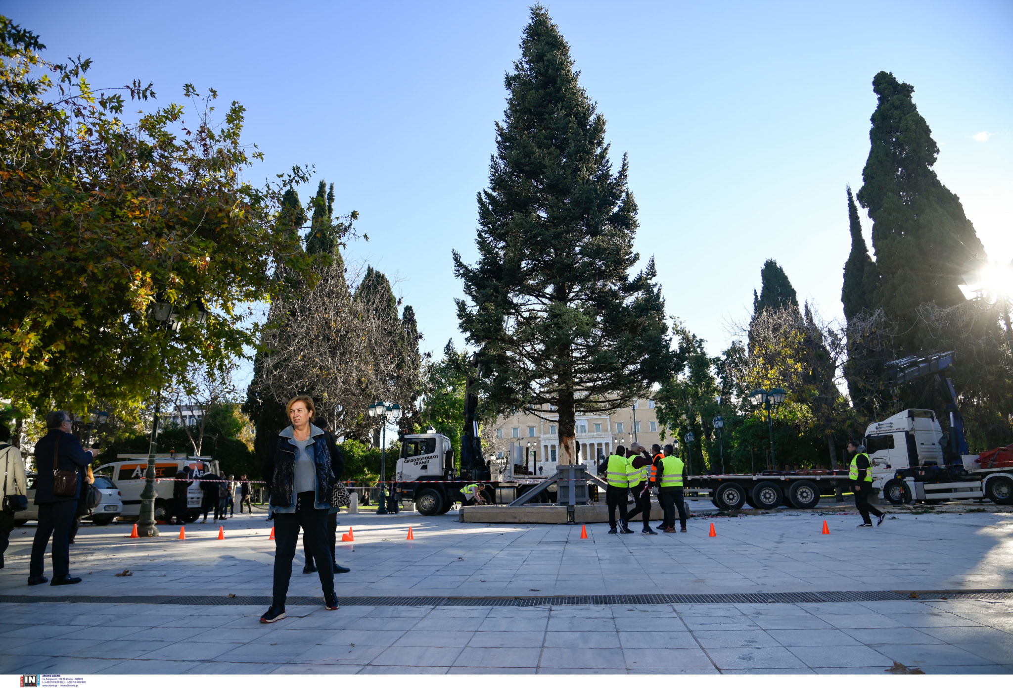 χριστουγεννιάτικο δέντρο Αθήνα