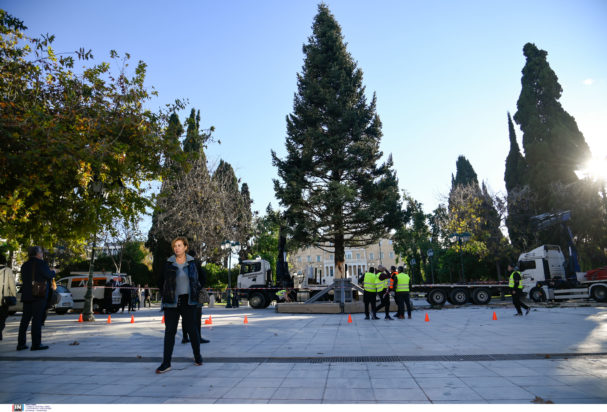 χριστουγεννιάτικο δέντρο Αθήνα