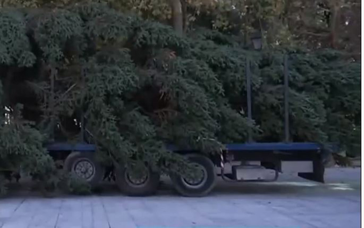 έλατο Σύνταγμα