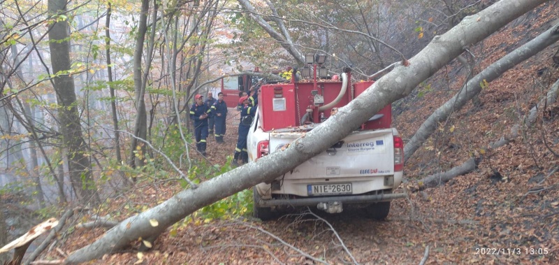 Φωτιά Κομητηνή πτώση δέντρου
