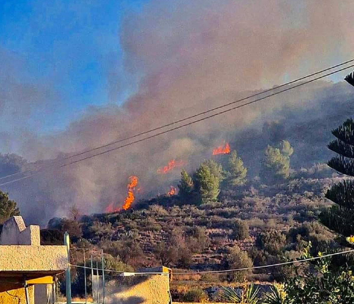 φωτιά Αίγινα