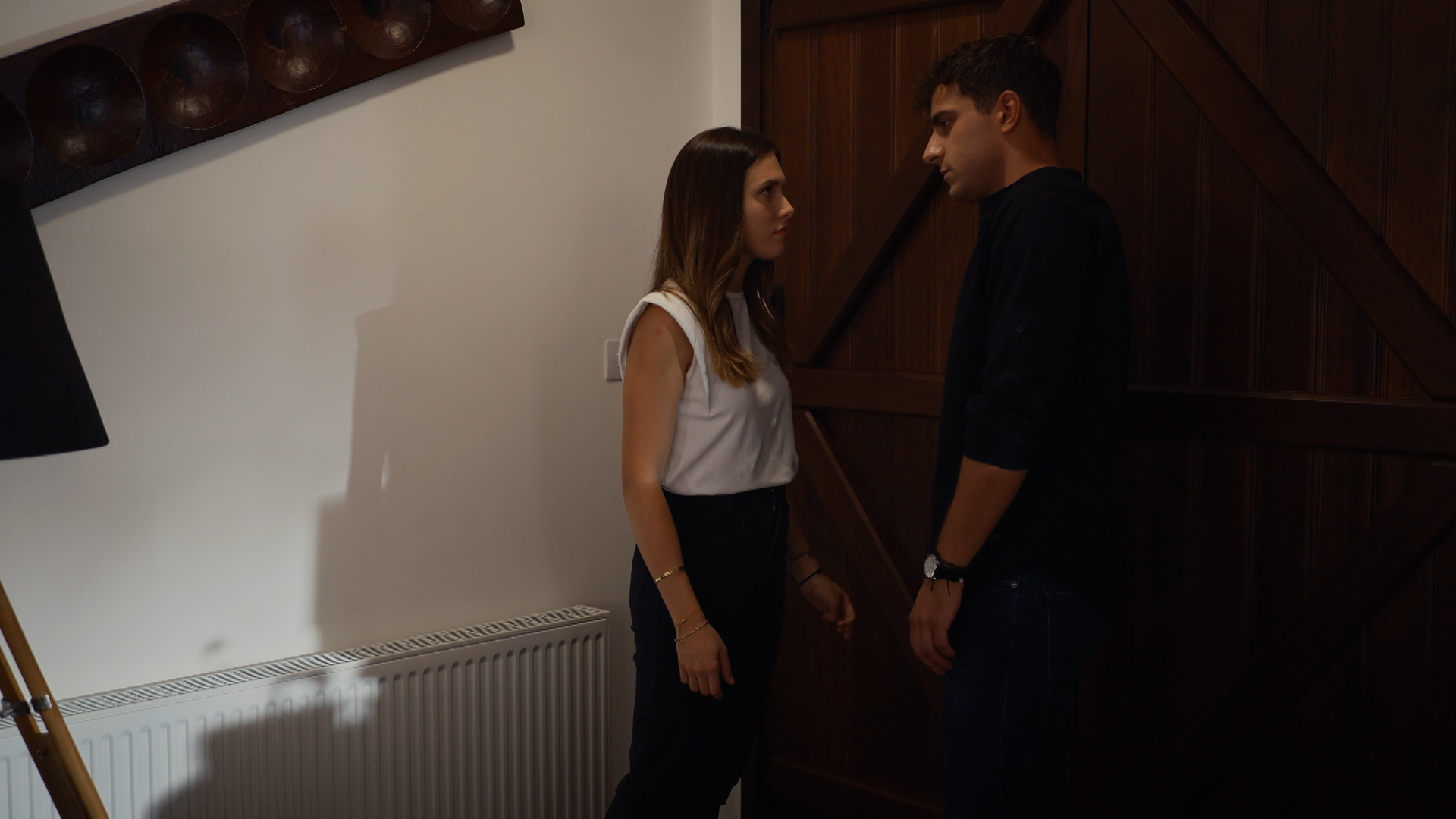 Η Γη της Ελιάς