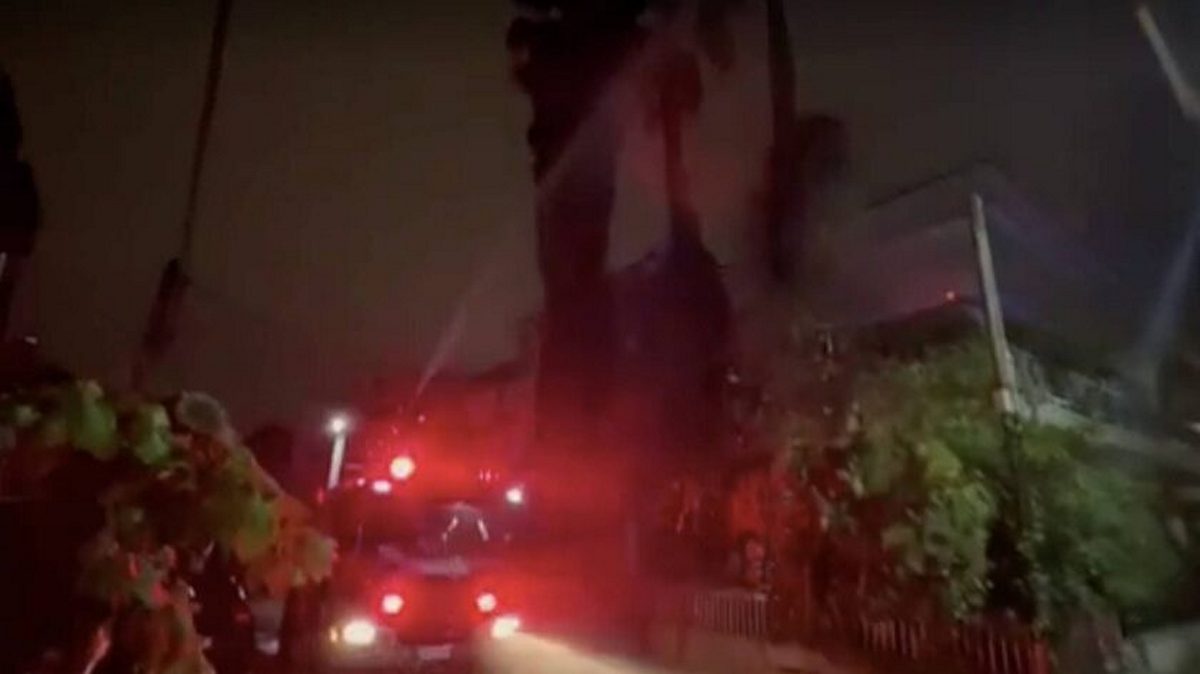 Κακοκαιρία «EVA»: Φωτιά σε φοίνικα έπειτα από πτώση κεραυνού