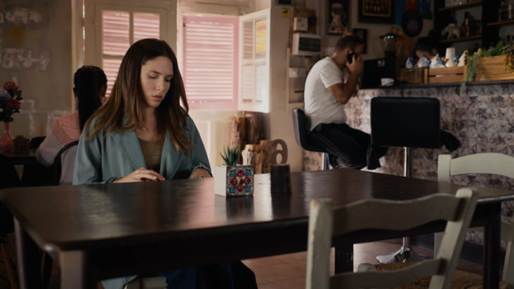 Η Γη της Ελιάς