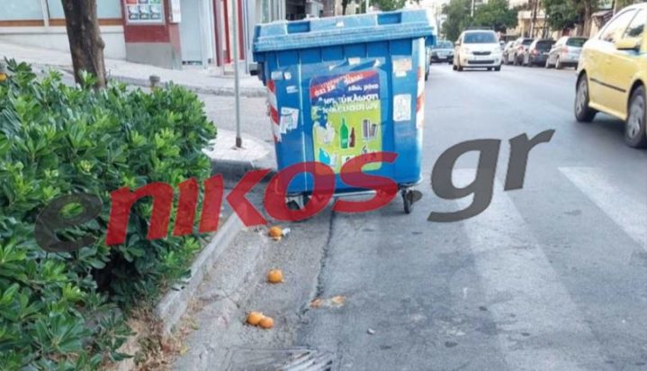 Νέα Ιωνία- κάδος σε διάβαση