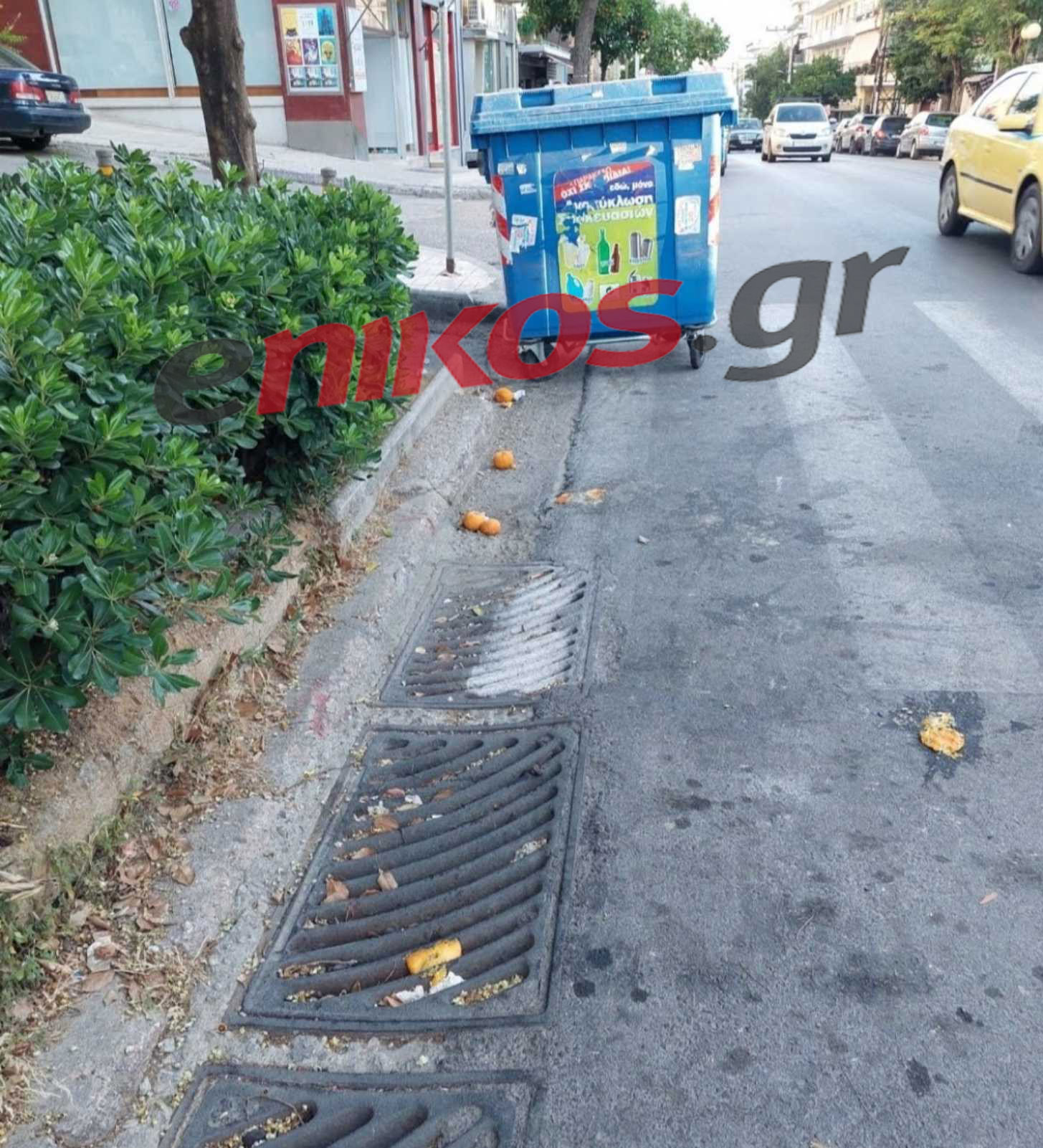 Νέα Ιωνία- κάδος σε διάβαση
