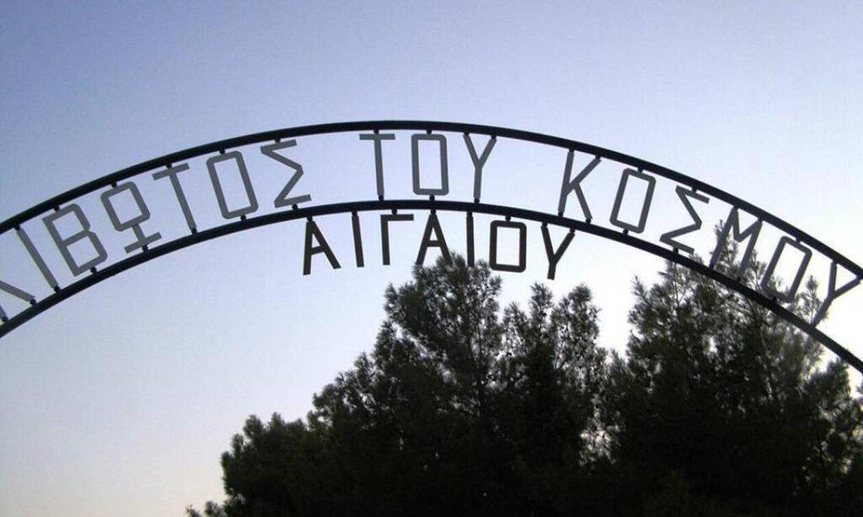 Κιβωτός του Κόσμου