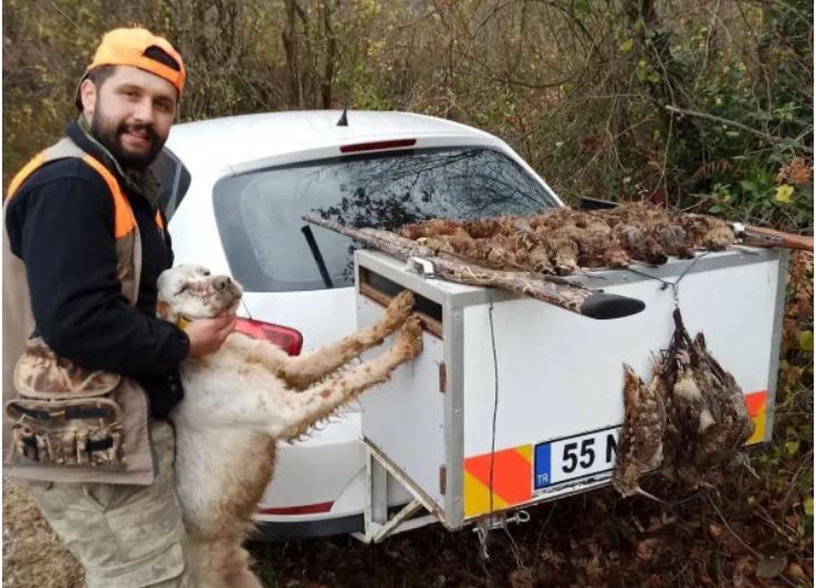 Νεκρός 32χρονος κυνηγός – Πυροβολήθηκε από τον σκύλο του