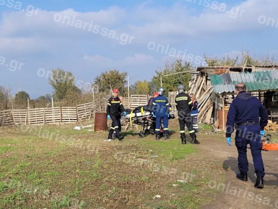 δέντρο Λάρισα