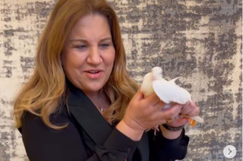 Δέσποινα Μοιραράκη: Το λευκό περιστέρι που την αιφνιδίασε – «Το ξέρω είσαι εδώ μαζί μου»