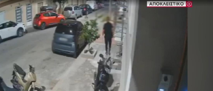 Νίκαια δράκος