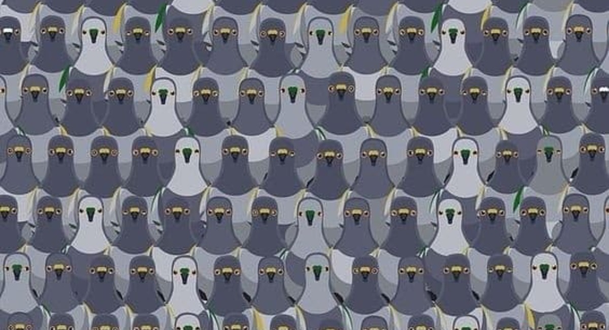 Οπτική ψευδαίσθηση γάτα