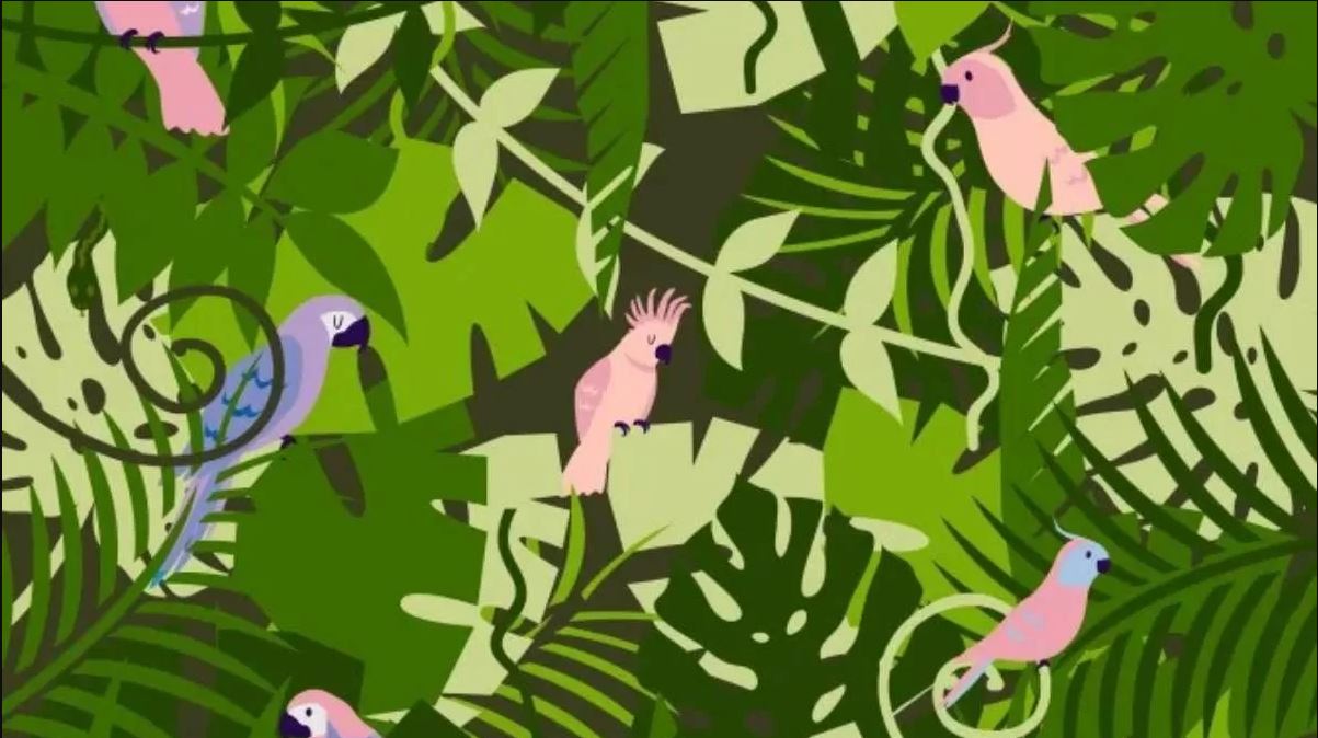 οπτική ψευδαίσθηση