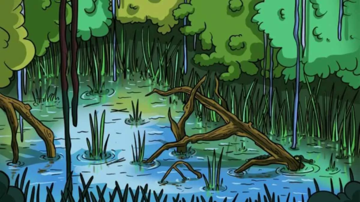 οπτική ψευδαίσθηση