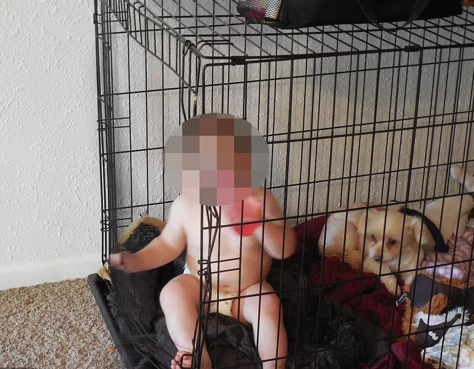 ΗΠΑ: Έβαζαν το παιδί τους να κοιμάται στο σπιτάκι του σκύλου γιατί δεν χωρούσε σε… 130 τ.μ.