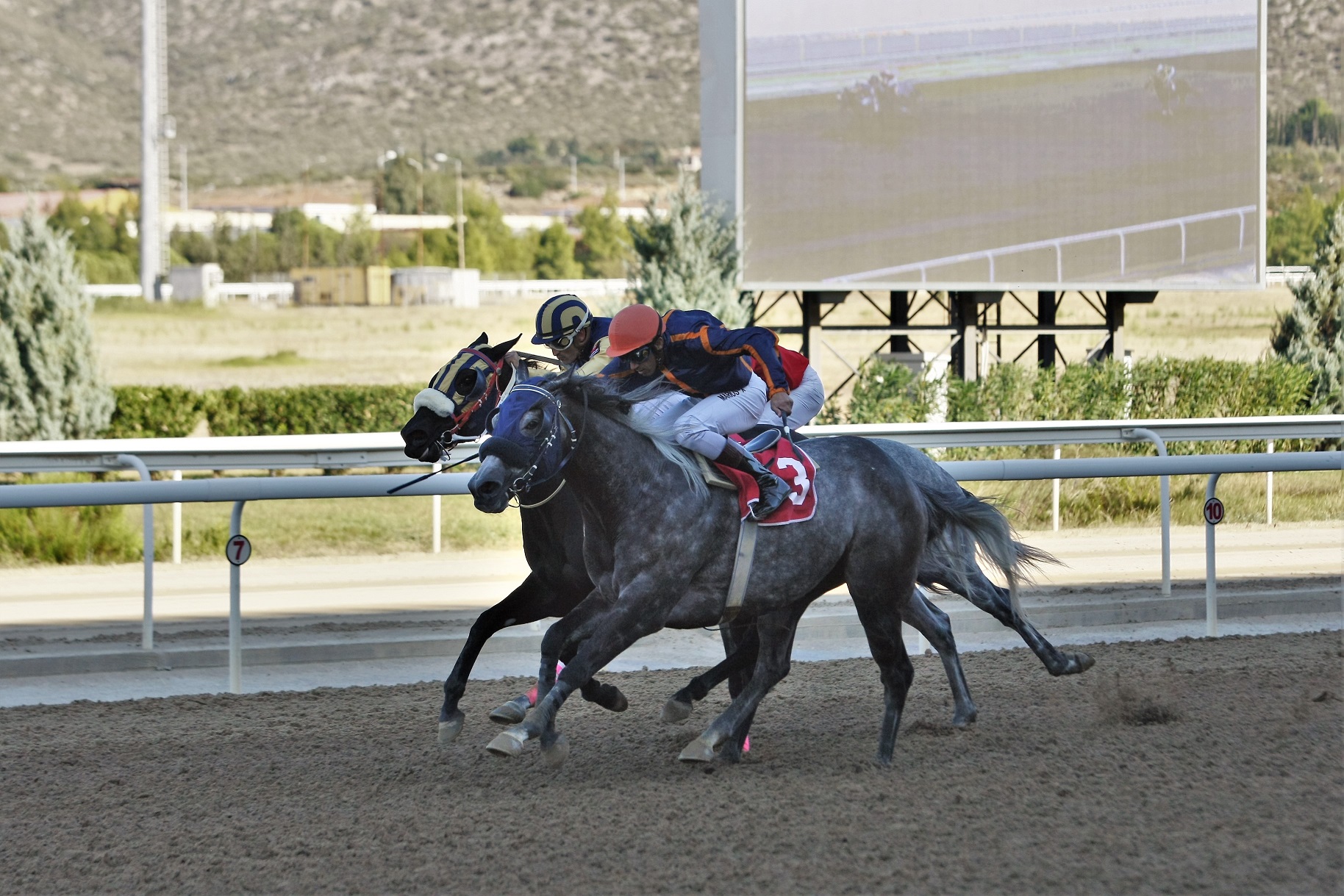Το Κύπελλο Μεγάλου Αλεξάνδρου τη Δευτέρα στο Markopoulo Park