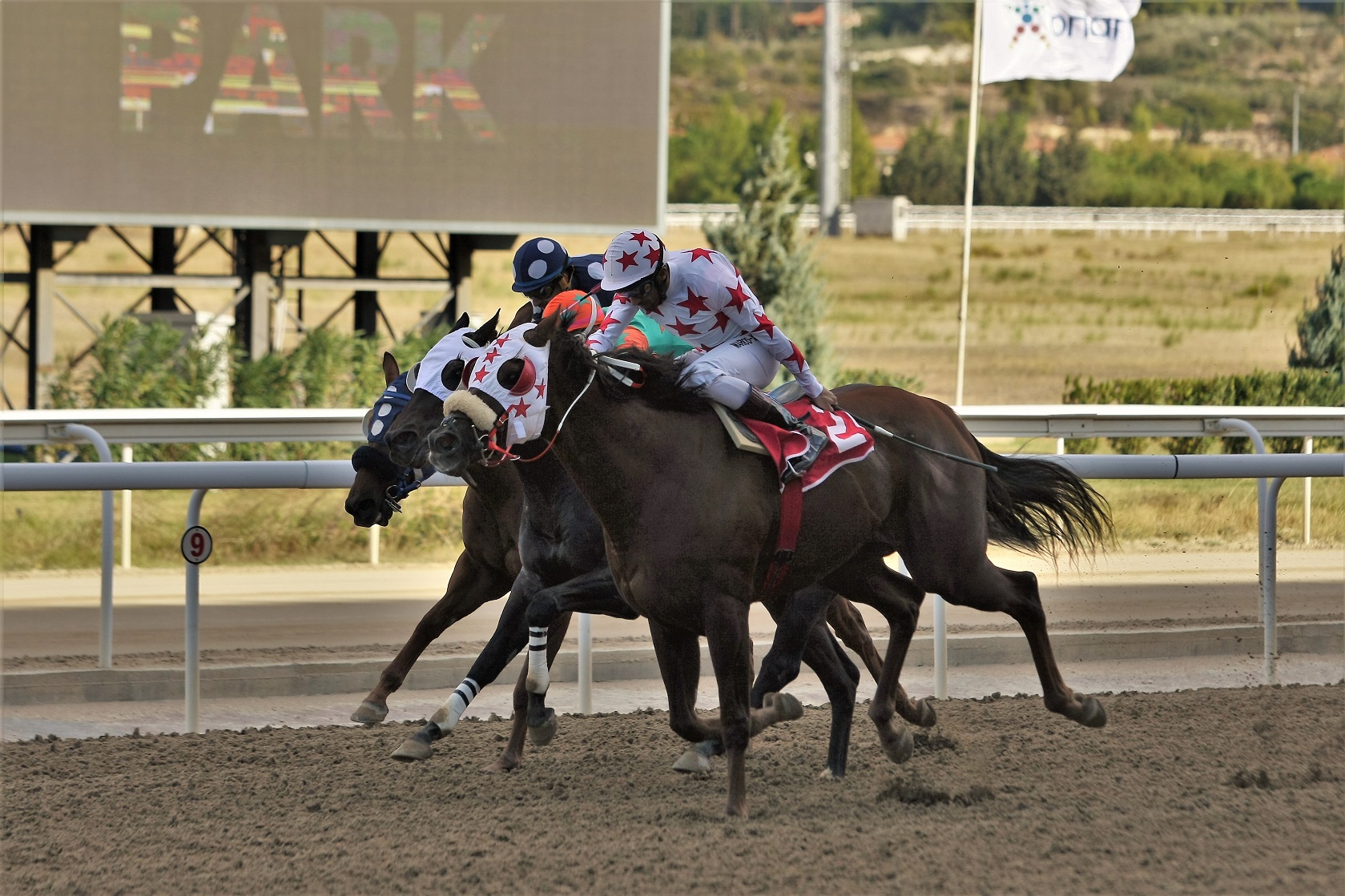 Τρία ΣΚΟΡ και 5 δυνατές κούρσες τη Δευτέρα στο Markopoulo Park