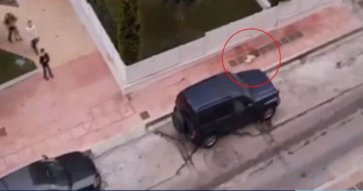 σκύλος νεκρός στη Δραπετσώνα