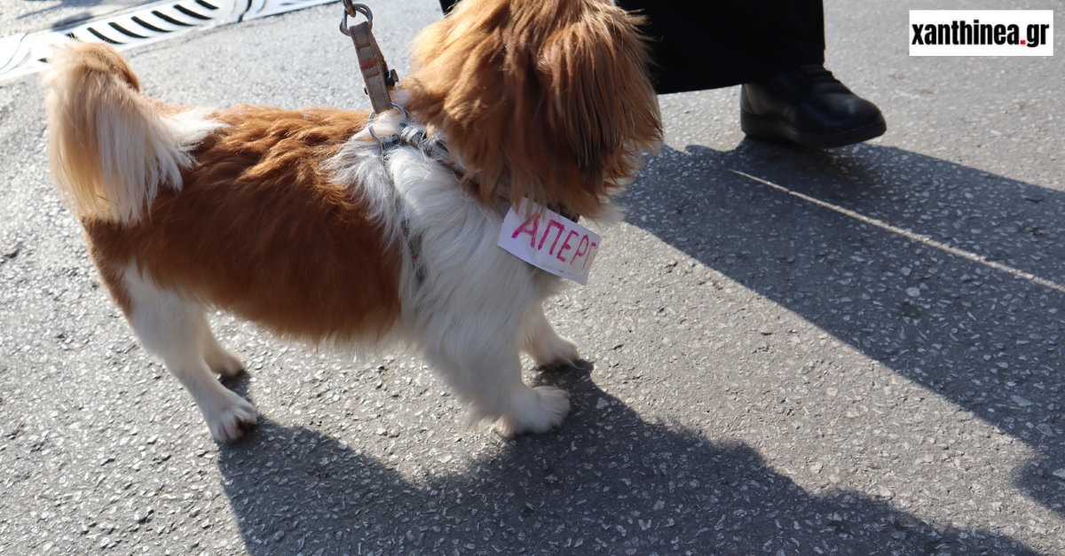 σκύλος- απεργός στην Ξάνθη