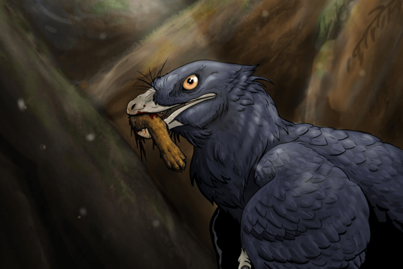 Microraptor
