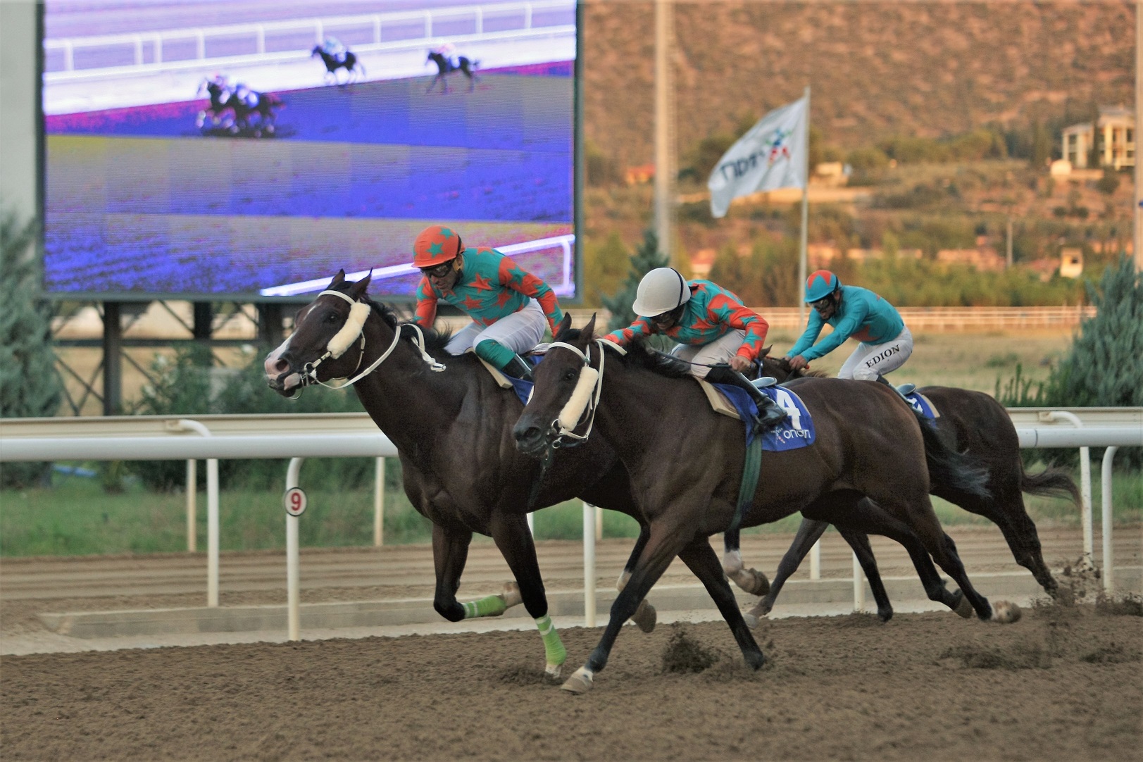 ιπποδρομίες