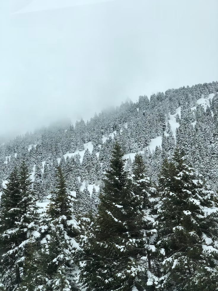 Προορισμοί για τις ημέρες των εορτών στην Πελοπόννησο