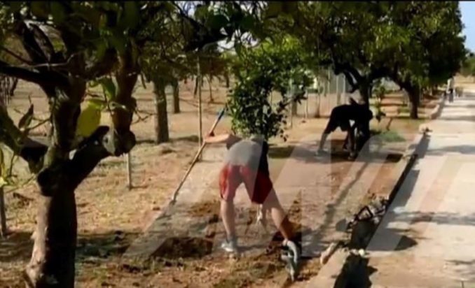 Κιβωτός του Κόσμου