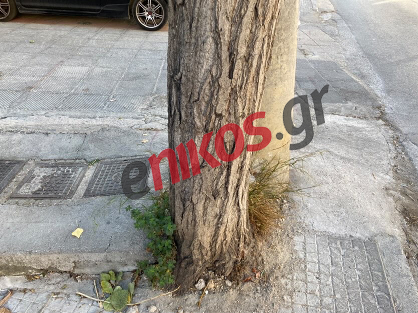 Πεζοδρόμιο Μπραχάμι Άγιος Δημήτριος