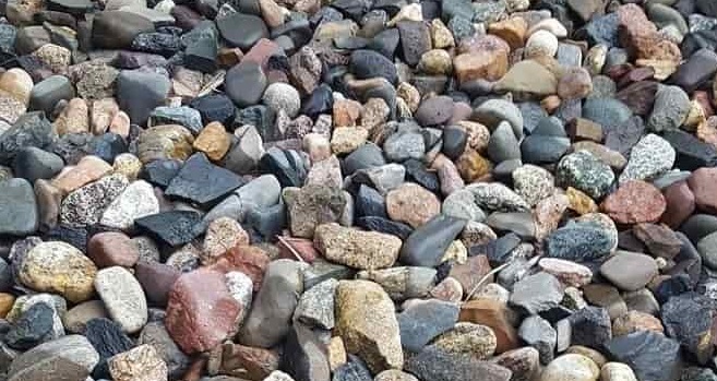 Οπτική ψευδαίσθηση βάτραχος