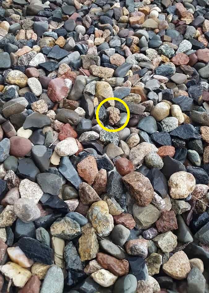 Οπτική ψευδαίσθηση βάτραχος