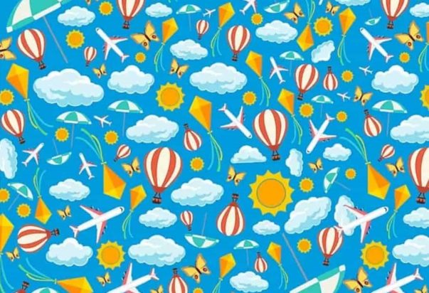 οπτική ψευδαίσθηση πτηνό