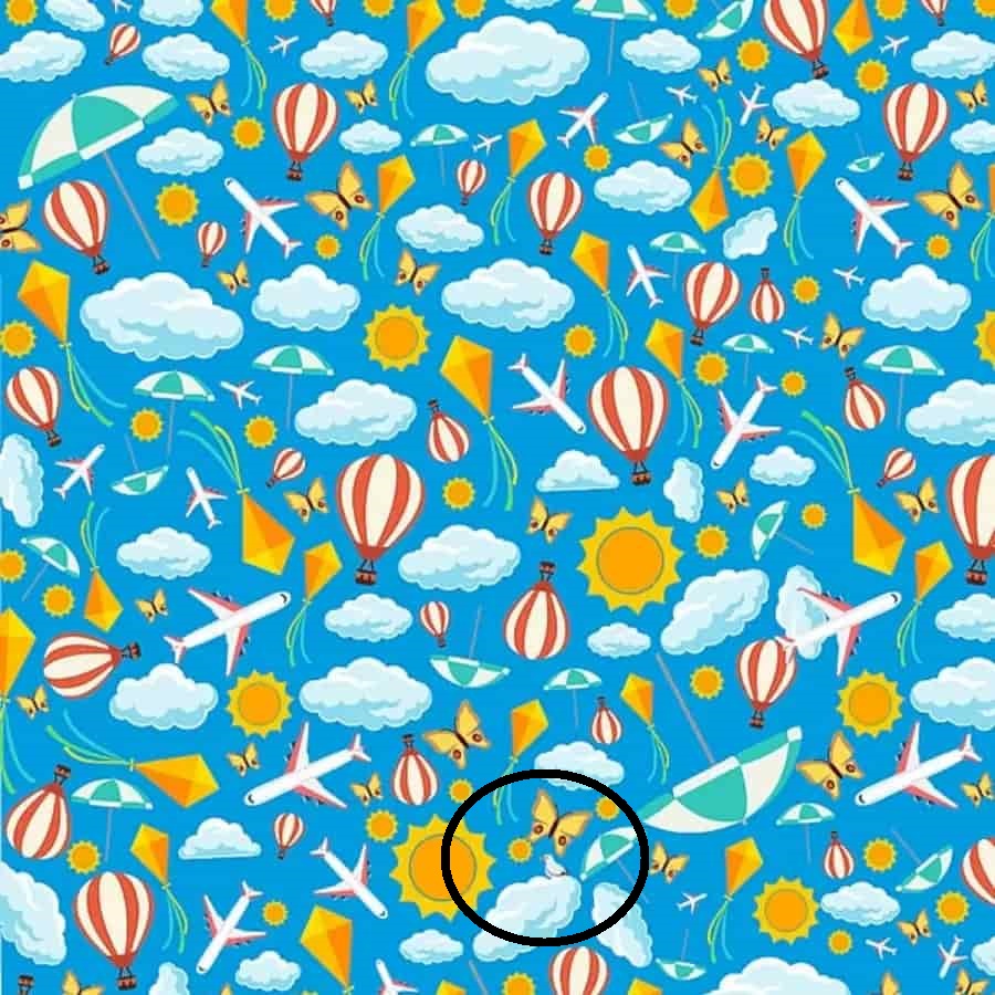 οπτική ψευδαίσθηση πτηνό