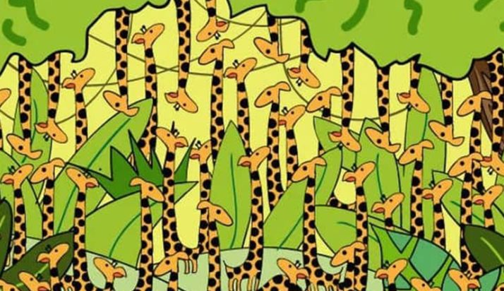 Οπτική ψευδαίσθηση φίδι