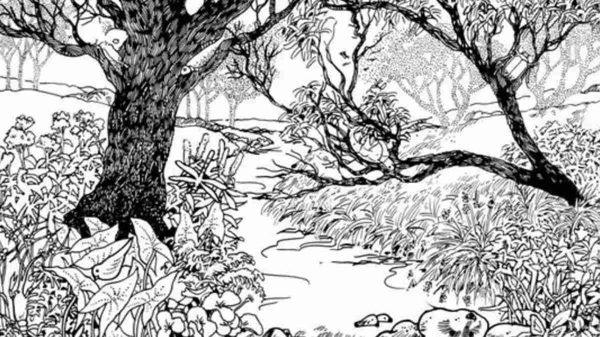 οπτική ψευδαίσθηση