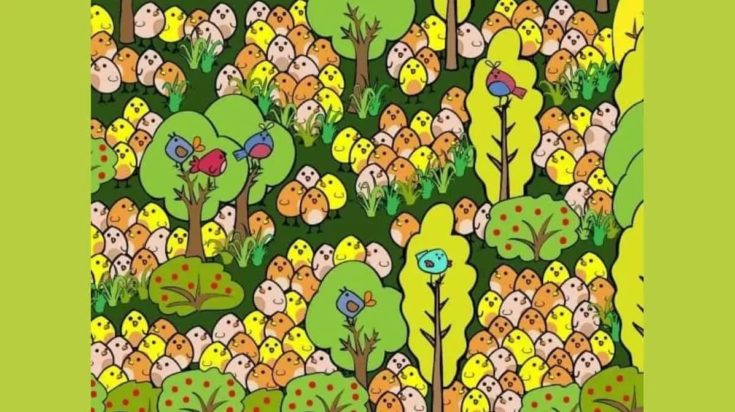 οπτική ψευδαίσθηση