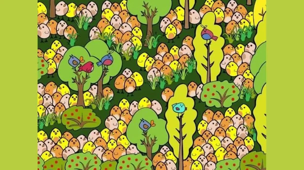 οπτική ψευδαίσθηση