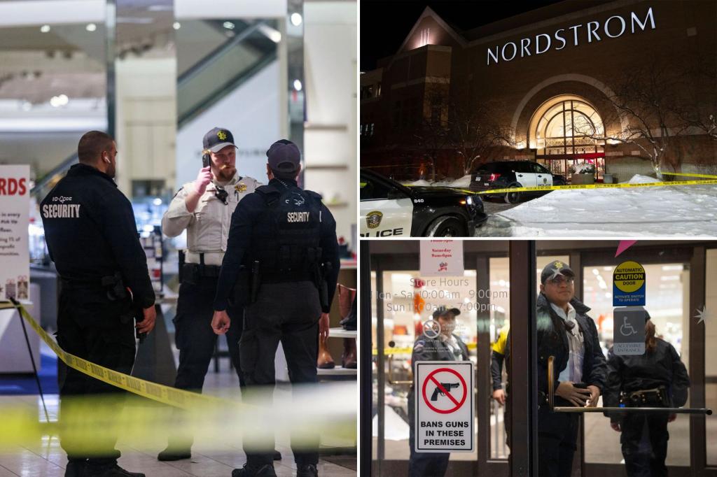 Τραγωδία στις ΗΠΑ: Ένας 19χρονος έπεσε νεκρός από πυροβολισμούς μέσα σε εμπορικό κέντρο – ΒΙΝΤΕΟ
