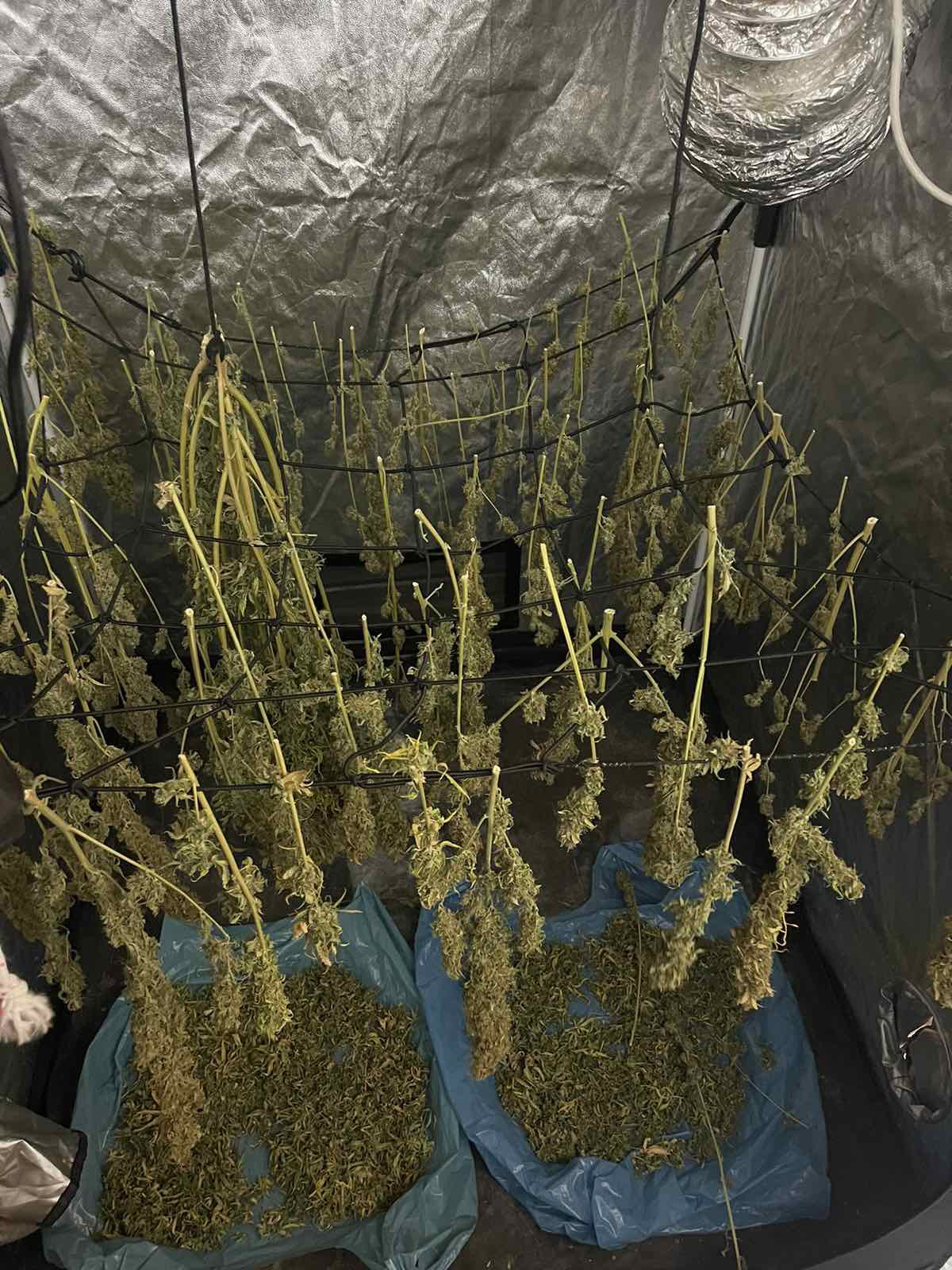 Πάτρα συλλήψεις