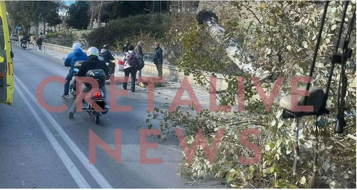 Ηράκλειο - πτώση δέντρου