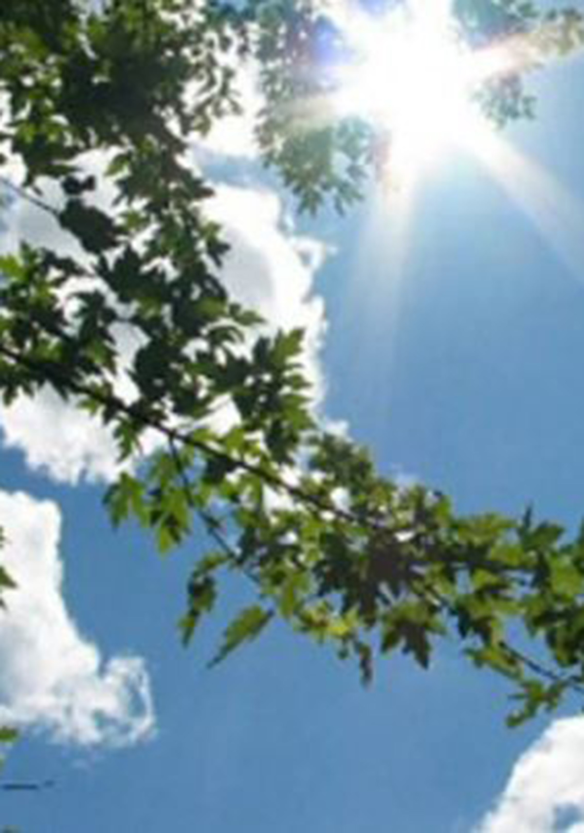 Καιρός: Ανοιξιάτικο «σκηνικό» και την Δευτέρα – Έως 19 βαθμούς η θερμοκρασία