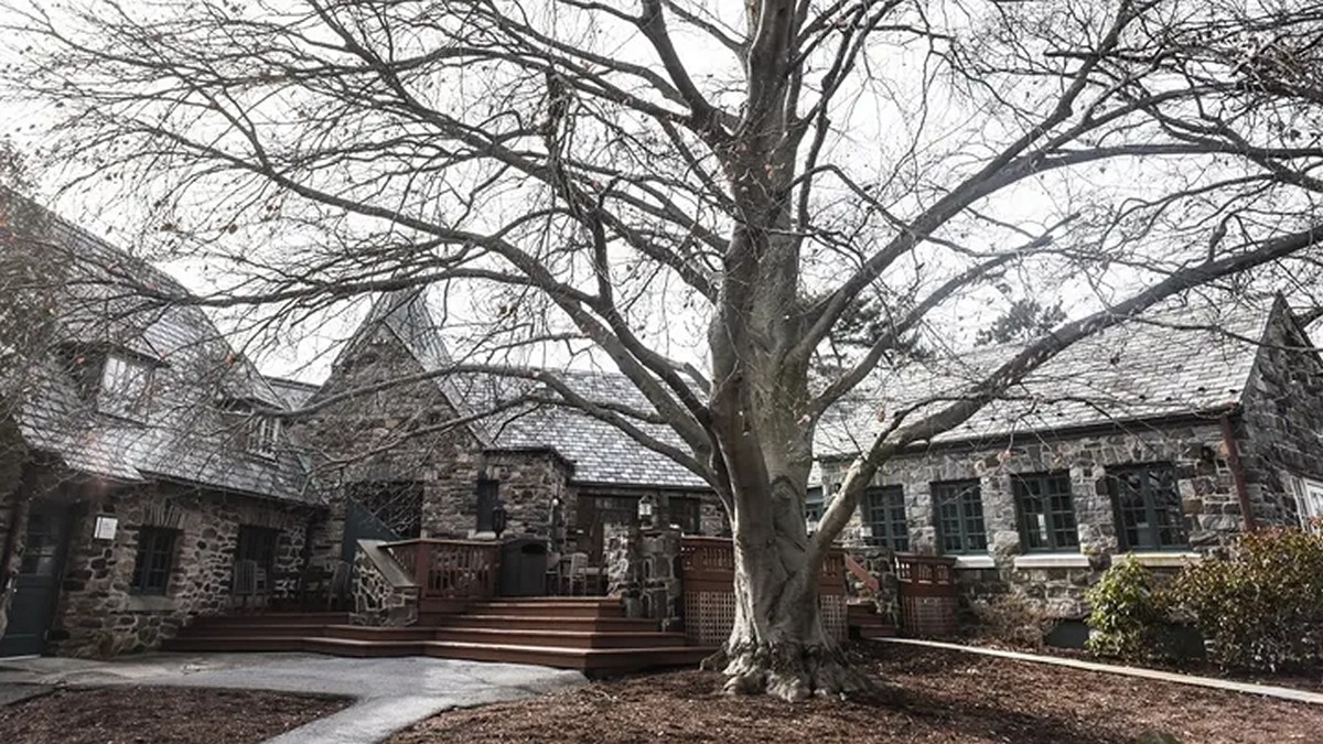 ΗΠΑ: Σε φυλάκιση 60 ετών καταδικάστηκε ο Λάρι Ρέι για τη σεξουαλική εκμετάλλευση φοιτητών