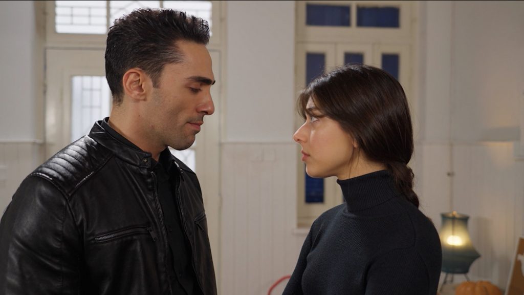 Η Γη της Ελιάς