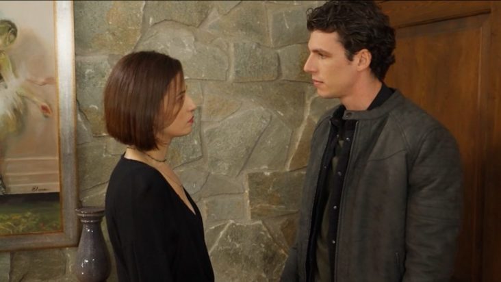 Η Γη της Ελιάς