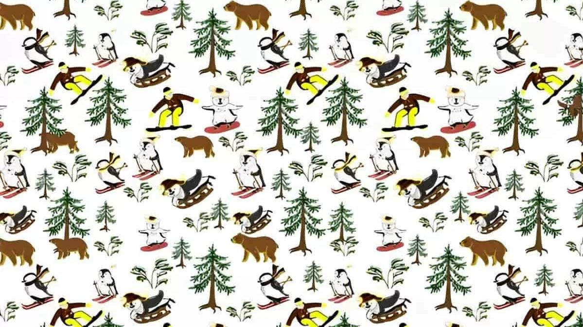 Οπτική ψευδαίσθηση: